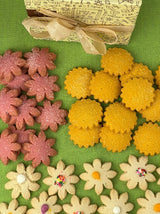 Spring Shortbread Gift Box - Dancing Deer Baking Company