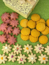 Spring Shortbread Gift Box - Dancing Deer Baking Company